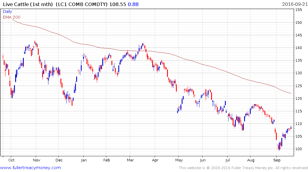 Feeder Cattle Market Charts