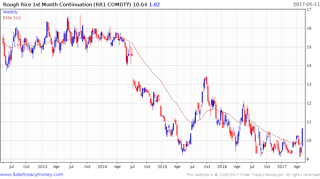 Rough Rice Price Chart